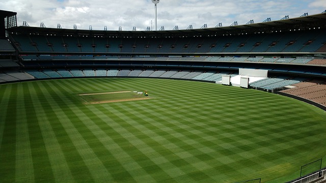 中国队也有 中国队也有