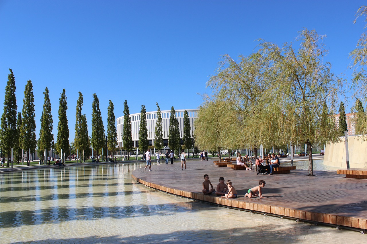 奥秘的新一 奥秘的新一