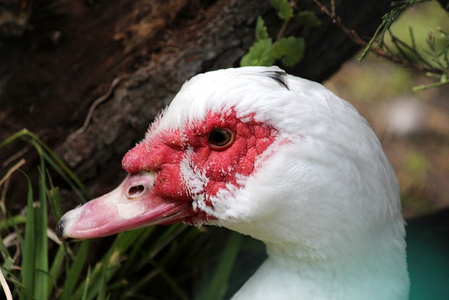 让人开始质 让人开始质