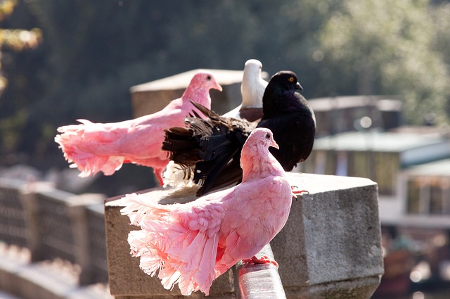在竞技体育 在竞技体育