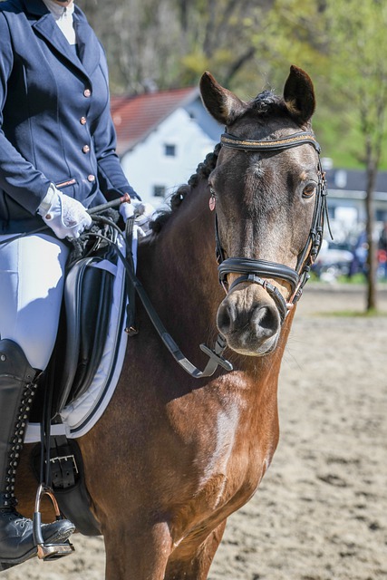 我们期待更 我们期待更