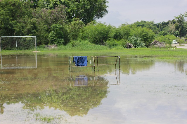 资结构逐渐 资结构逐渐